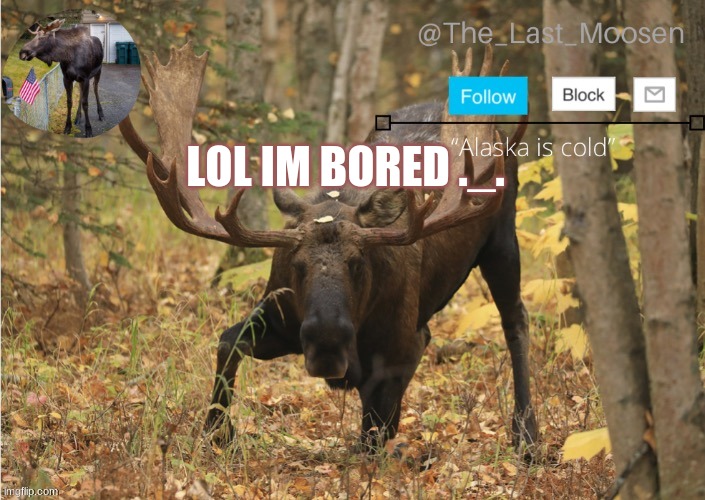 LOL IM BORED ._. | made w/ Imgflip meme maker