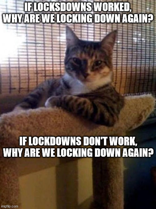The Most Interesting Cat In The World Meme | IF LOCKSDOWNS WORKED, WHY ARE WE LOCKING DOWN AGAIN? IF LOCKDOWNS DON'T WORK, WHY ARE WE LOCKING DOWN AGAIN? | image tagged in memes,the most interesting cat in the world | made w/ Imgflip meme maker