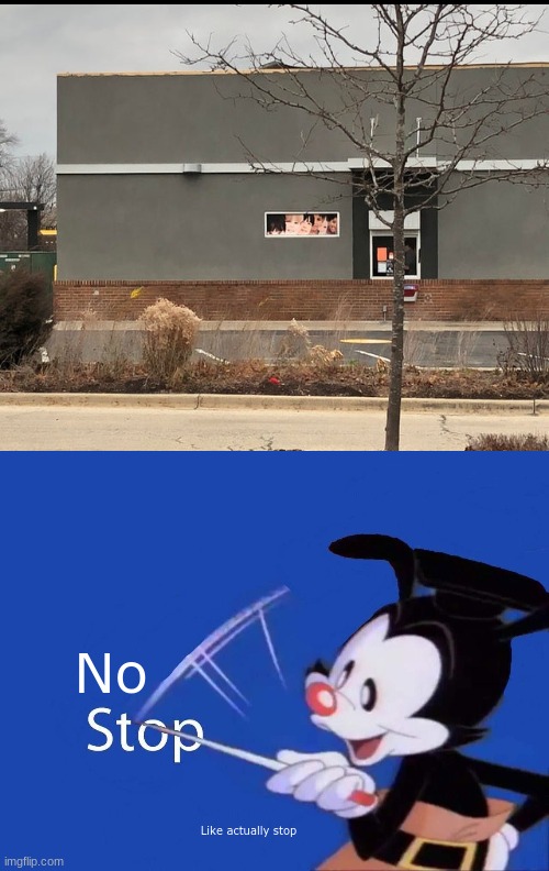 Just stop | No; Like actually stop | image tagged in yakko stop,oh wow are you actually reading these tags | made w/ Imgflip meme maker