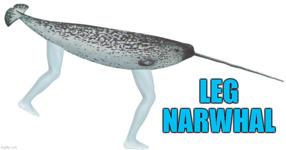 LEG NARWHAL | made w/ Imgflip meme maker
