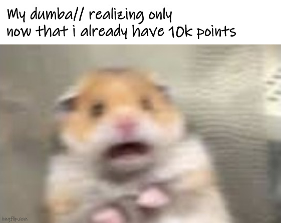 how did i- | My dumba// realizing only now that i already have 10k points | image tagged in hamster,unsettled | made w/ Imgflip meme maker