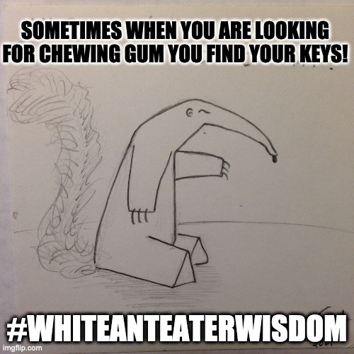 white anteater wisdom | SOMETIMES WHEN YOU ARE LOOKING FOR CHEWING GUM YOU FIND YOUR KEYS! #WHITEANTEATERWISDOM | image tagged in whiteanteater,words of wisdom,handdrawn | made w/ Imgflip meme maker
