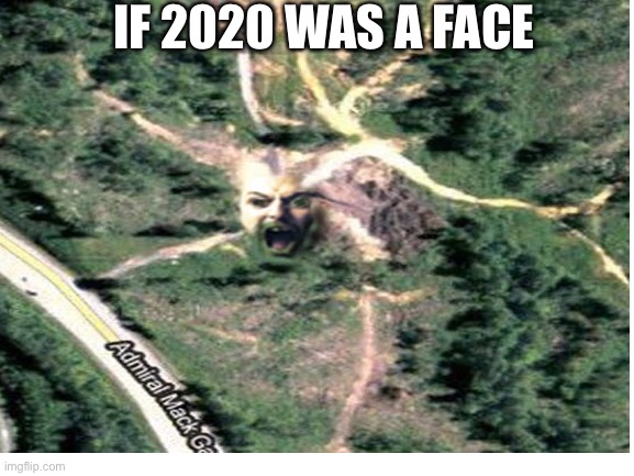 The end of this torture is almost over! | IF 2020 WAS A FACE | image tagged in 2021 will be good,2020,memes,funny,faces | made w/ Imgflip meme maker
