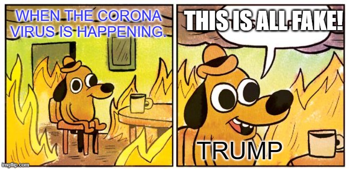 This Is Fine | THIS IS ALL FAKE! WHEN THE CORONA VIRUS IS HAPPENING. TRUMP | image tagged in memes,this is fine | made w/ Imgflip meme maker