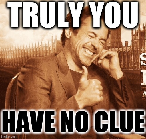 laughing | TRULY YOU HAVE NO CLUE | image tagged in laughing | made w/ Imgflip meme maker