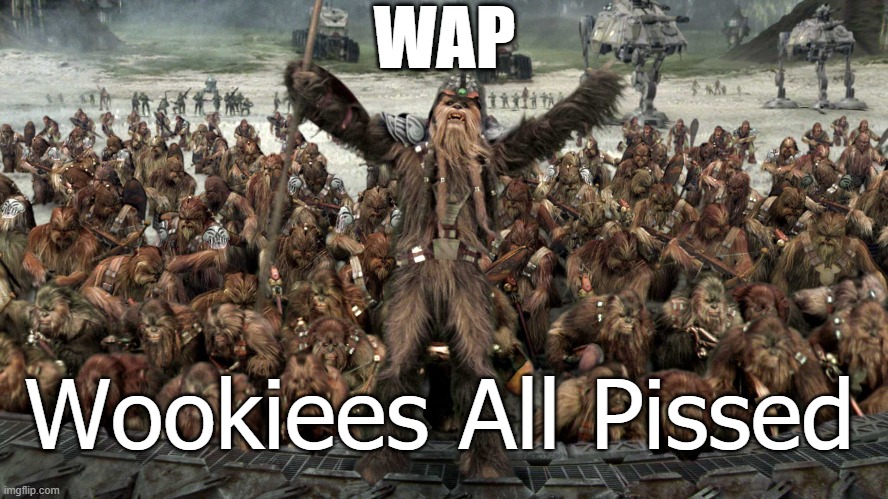 The true meaning | WAP; Wookiees All Pissed | image tagged in revenge of the sith | made w/ Imgflip meme maker