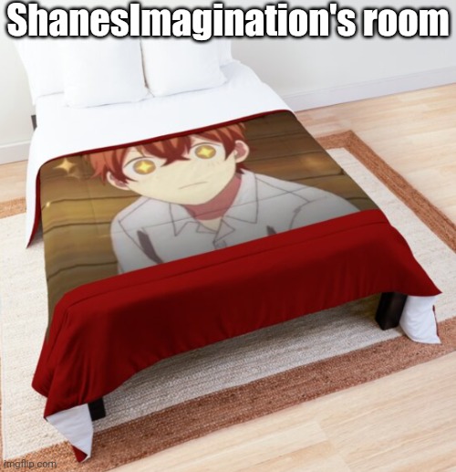 Given themed hotel room | ShanesImagination's room | image tagged in given themed hotel room | made w/ Imgflip meme maker