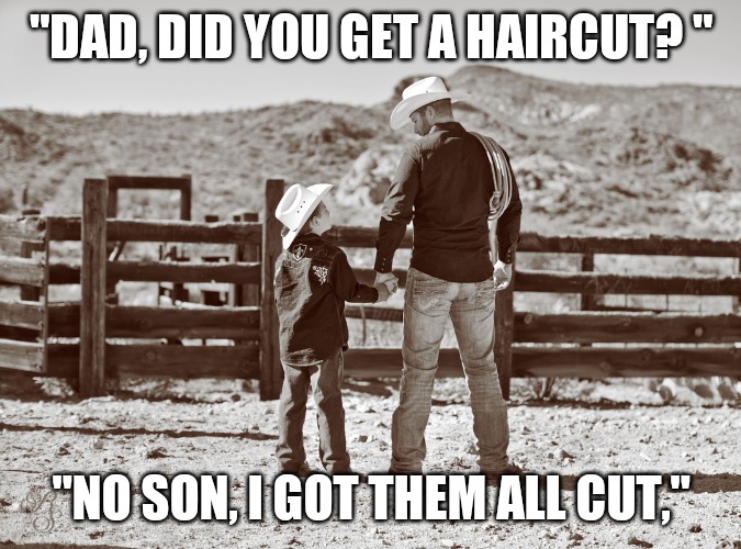 Haircut | "DAD, DID YOU GET A HAIRCUT? "; "NO SON, I GOT THEM ALL CUT," | image tagged in cowboy father and son,haircut,funny | made w/ Imgflip meme maker