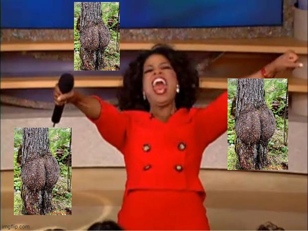 Don't ask | image tagged in memes,oprah you get a,trees | made w/ Imgflip meme maker