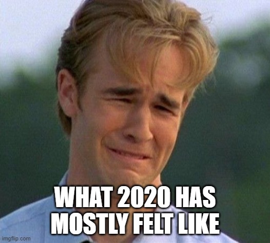What 2020 has mostly felt like | WHAT 2020 HAS MOSTLY FELT LIKE | image tagged in memes,1990s first world problems | made w/ Imgflip meme maker
