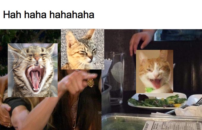 Recat the cast | Hah haha hahahaha | image tagged in recast,laugh,2020,pets,new,fun | made w/ Imgflip meme maker