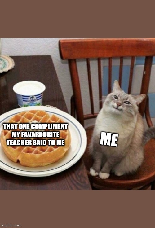 Cat likes their waffle | THAT ONE COMPLIMENT MY FAVAROURITE TEACHER SAID TO ME; ME | image tagged in cat likes their waffle | made w/ Imgflip meme maker