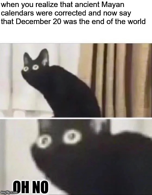 AAAAAAAAAAAAAAAAAAAAAAAAAAAAAAAAAAAAAAAAAAAAAAAAAAAAA | when you realize that ancient Mayan calendars were corrected and now say that December 20 was the end of the world; OH NO | image tagged in oh no black cat,2020,scary,not fun,fun,memes | made w/ Imgflip meme maker