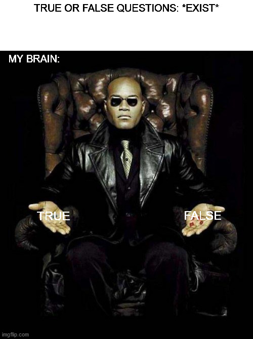 Ah yes, I choose the blue pill | TRUE OR FALSE QUESTIONS: *EXIST*; MY BRAIN:; TRUE; FALSE | image tagged in funny meme | made w/ Imgflip meme maker