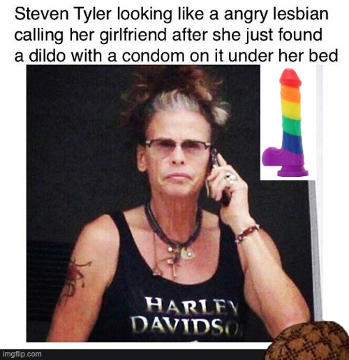 Steven Tyler looks like a lesbian | image tagged in dildo,lesbian,angry,steven tyler | made w/ Imgflip meme maker