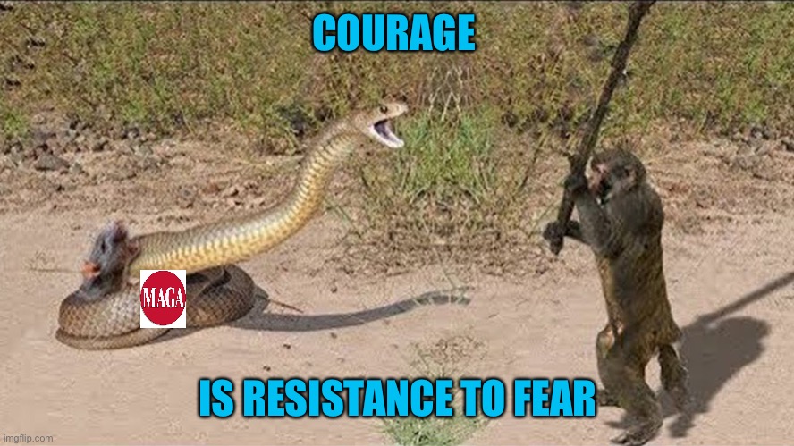 COURAGE IS RESISTANCE TO FEAR | made w/ Imgflip meme maker