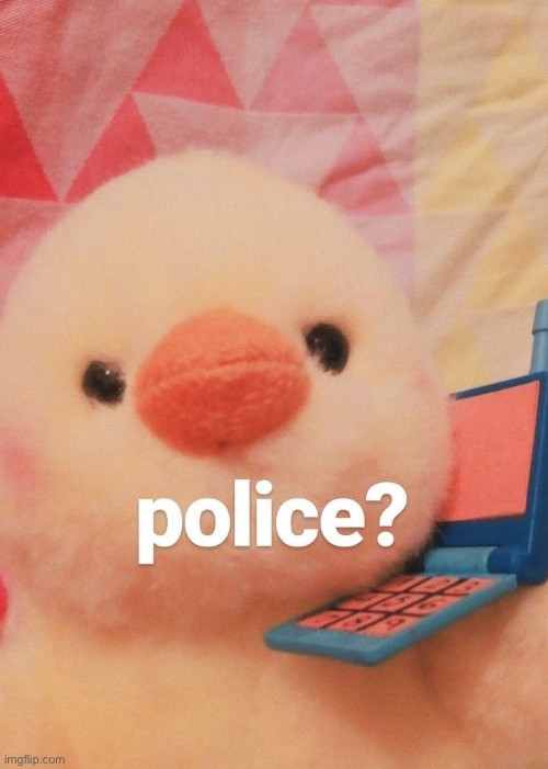 police? | image tagged in police | made w/ Imgflip meme maker