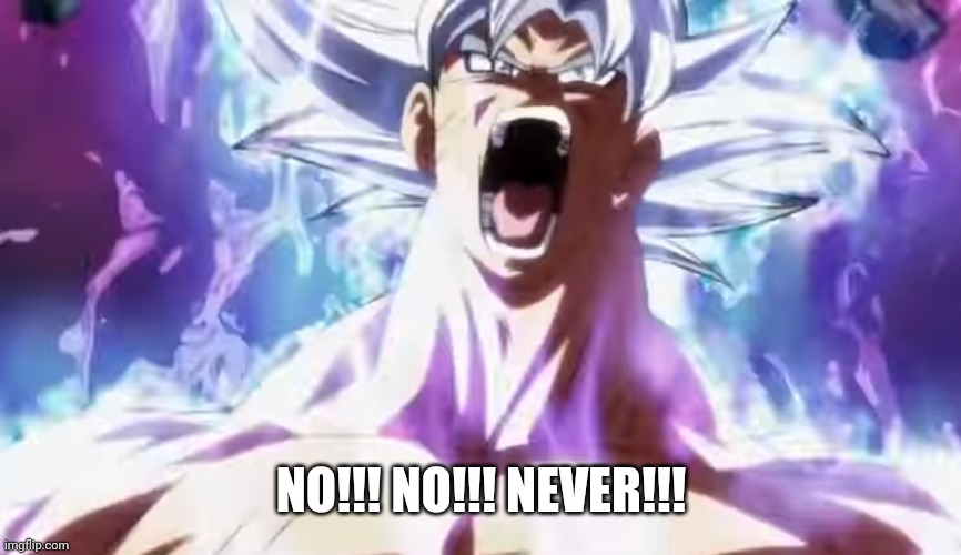 Pissed Off Goku | NO!!! NO!!! NEVER!!! | image tagged in pissed off goku | made w/ Imgflip meme maker