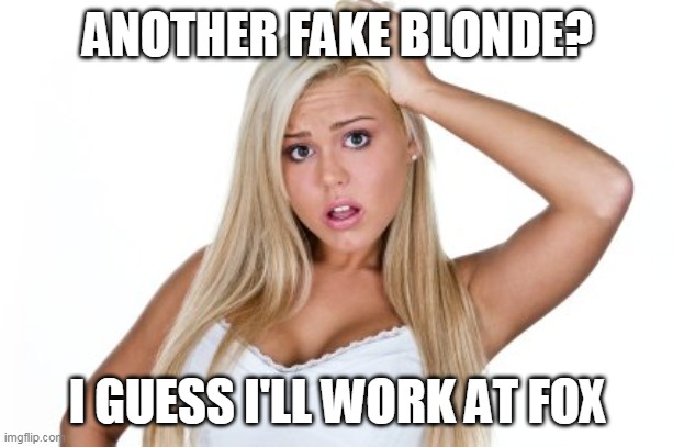 Dumb Blonde | ANOTHER FAKE BLONDE? I GUESS I'LL WORK AT FOX | image tagged in dumb blonde | made w/ Imgflip meme maker