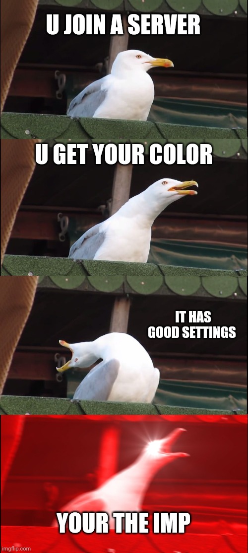 Inhaling Seagull Meme | U JOIN A SERVER; U GET YOUR COLOR; IT HAS GOOD SETTINGS; YOUR THE IMP | image tagged in memes,inhaling seagull | made w/ Imgflip meme maker
