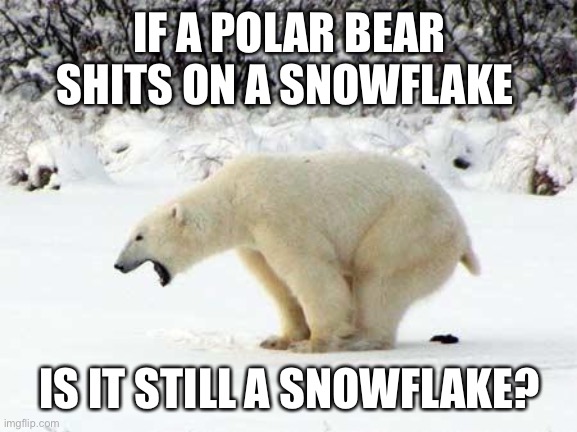 Polar Bear Shits in the Snow | IF A POLAR BEAR SHITS ON A SNOWFLAKE IS IT STILL A SNOWFLAKE? | image tagged in polar bear shits in the snow | made w/ Imgflip meme maker