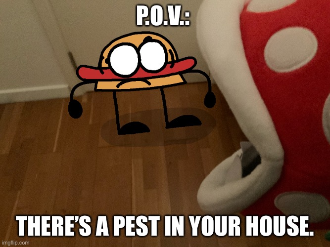 P.O.V.:; THERE’S A PEST IN YOUR HOUSE. | made w/ Imgflip meme maker