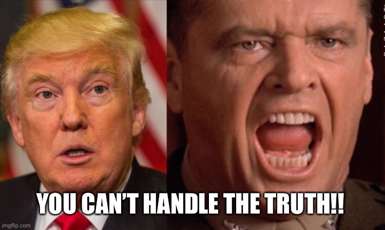 Trump loses election | YOU CAN’T HANDLE THE TRUTH!! | image tagged in donald trump,election 2020,loser,jack nicholson,cheat | made w/ Imgflip meme maker