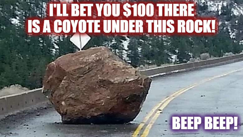 Roadrunner won again! | I'LL BET YOU $100 THERE IS A COYOTE UNDER THIS ROCK! BEEP BEEP! | image tagged in comics/cartoons,wile e coyote,roadrunner,rock,fail | made w/ Imgflip meme maker