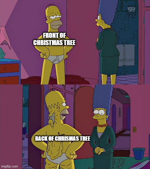 so true | FRONT OF CHRISTMAS TREE; BACK OF CHRISMAS TREE | image tagged in homer simpson's back fat | made w/ Imgflip meme maker