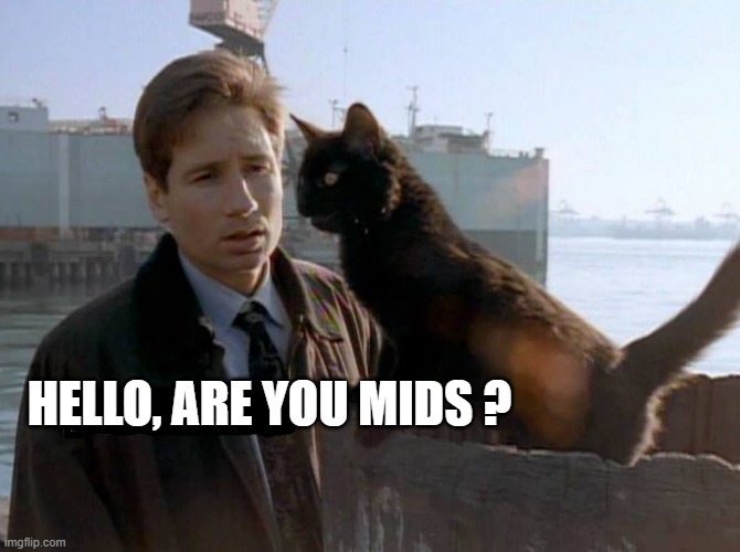 Are you Mids | HELLO, ARE YOU MIDS ? | image tagged in mulder,x-files,aliens,mids,erg,metal | made w/ Imgflip meme maker