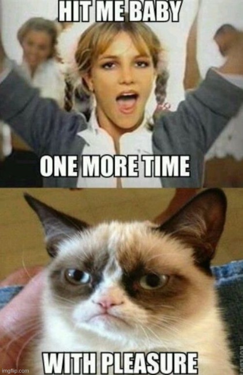 image tagged in grumpy cat | made w/ Imgflip meme maker