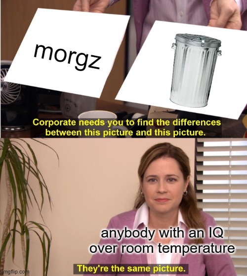 free epic cookies | morgz; anybody with an IQ over room temperature | image tagged in memes,they're the same picture | made w/ Imgflip meme maker