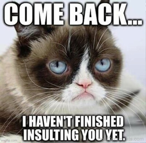 stop scrolling he is not done | image tagged in grumpy cat | made w/ Imgflip meme maker