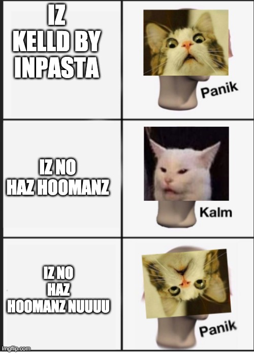 Cat Panik Cat Kalm Cat Panik | IZ KELLD BY INPASTA; IZ NO HAZ HOOMANZ; IZ NO HAZ HOOMANZ NUUUU | image tagged in cat panik cat kalm cat panik | made w/ Imgflip meme maker