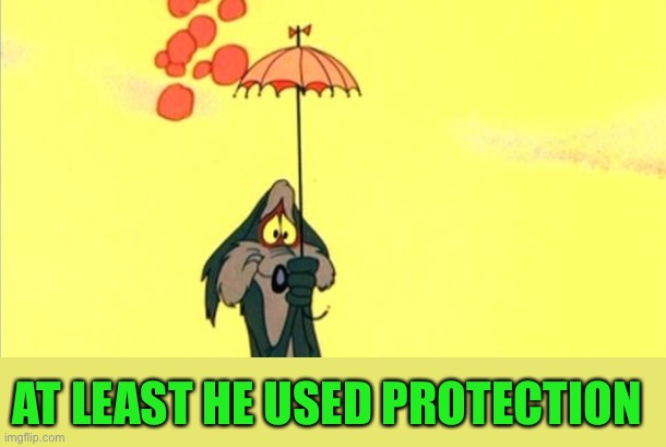 AT LEAST HE USED PROTECTION | made w/ Imgflip meme maker