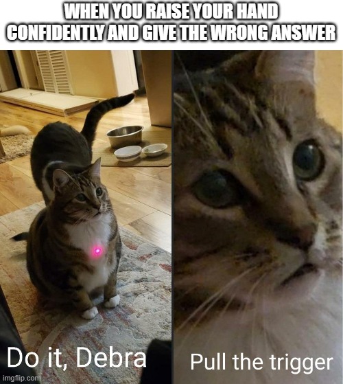 do it | WHEN YOU RAISE YOUR HAND CONFIDENTLY AND GIVE THE WRONG ANSWER | image tagged in cats | made w/ Imgflip meme maker