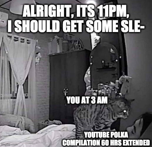  ALRIGHT, ITS 11PM, I SHOULD GET SOME SLE-; YOU AT 3 AM; YOUTUBE POLKA COMPILATION 60 HRS EXTENDED | image tagged in cat murderer | made w/ Imgflip meme maker