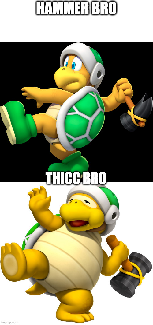 Damn boi he thicc | HAMMER BRO; THICC BRO | image tagged in hammer,bro,thicc | made w/ Imgflip meme maker