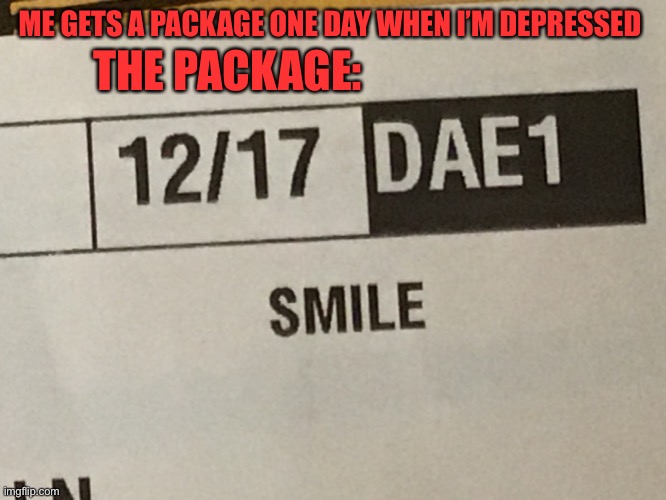 This was actually on a package I got wtf | THE PACKAGE:; ME GETS A PACKAGE ONE DAY WHEN I’M DEPRESSED | image tagged in funny memes,package,lol,smile | made w/ Imgflip meme maker