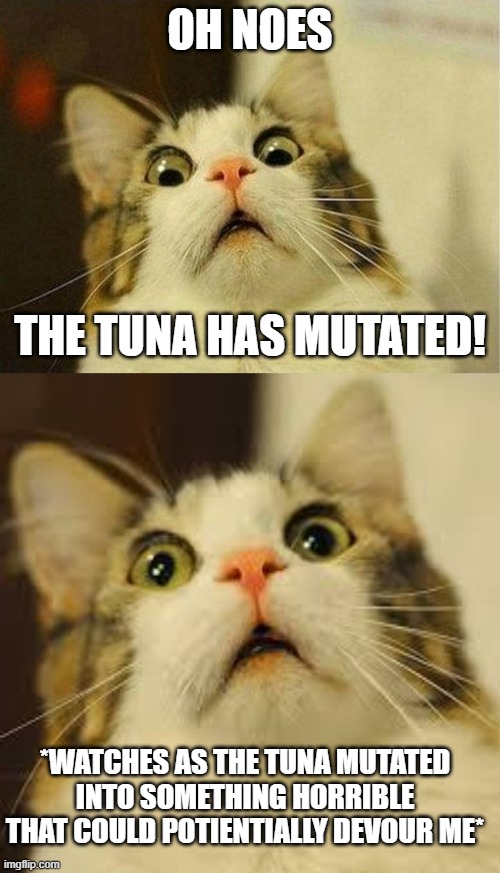 It's too late, the cat has been eaten has been eaten | OH NOES; THE TUNA HAS MUTATED! *WATCHES AS THE TUNA MUTATED INTO SOMETHING HORRIBLE THAT COULD POTIENTIALLY DEVOUR ME* | image tagged in memes,scared cat | made w/ Imgflip meme maker