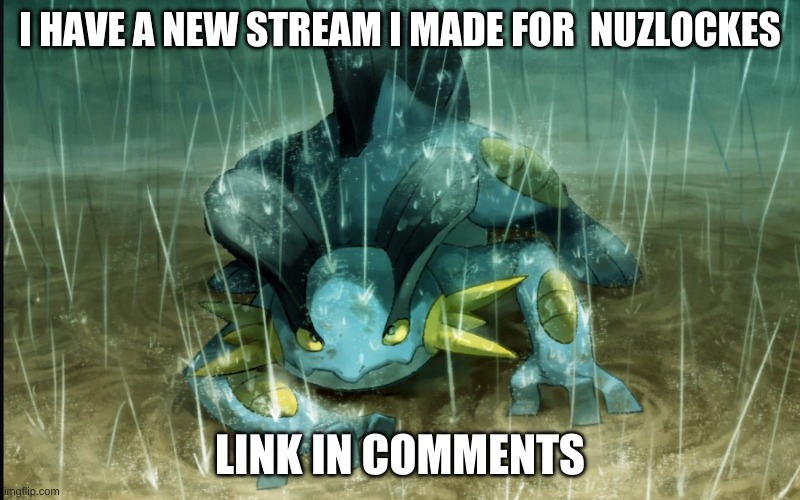 The Best Swampert 999 | I HAVE A NEW STREAM I MADE FOR  NUZLOCKES; LINK IN COMMENTS | image tagged in the best swampert 999 | made w/ Imgflip meme maker