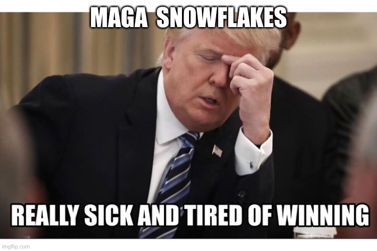 MAGA  SNOWFLAKES | made w/ Imgflip meme maker