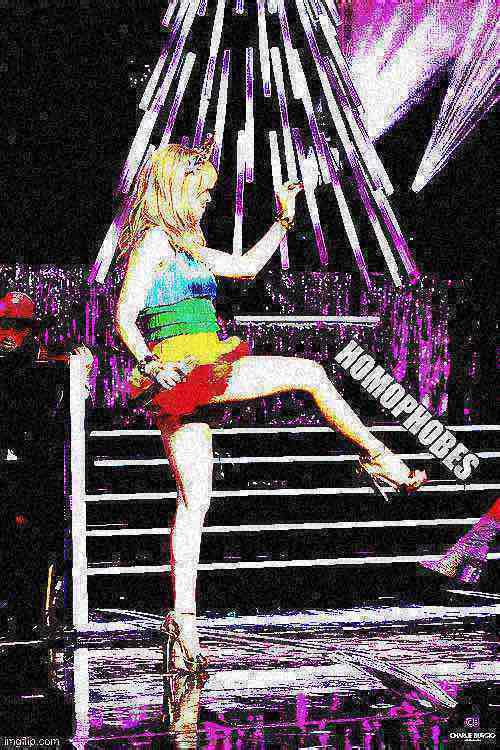 Kylie homophobes Blank Meme Template