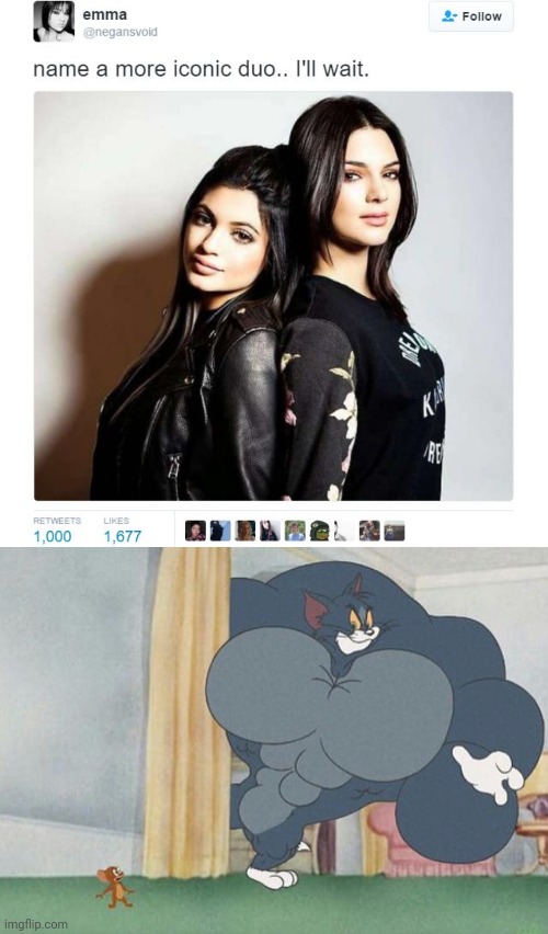 image tagged in name a more iconic duo,tom and jerry | made w/ Imgflip meme maker