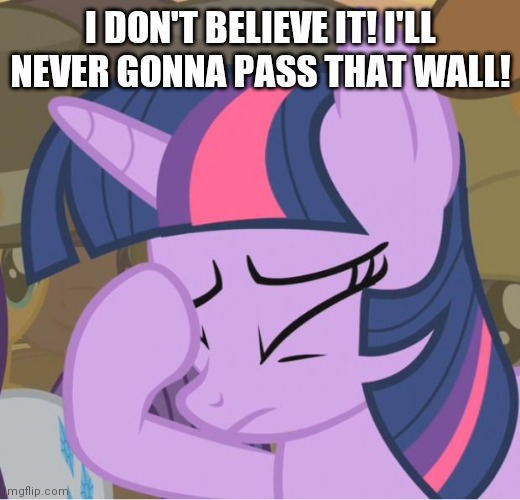 Mlp Twilight Sparkle facehoof | I DON'T BELIEVE IT! I'LL NEVER GONNA PASS THAT WALL! | image tagged in mlp twilight sparkle facehoof | made w/ Imgflip meme maker