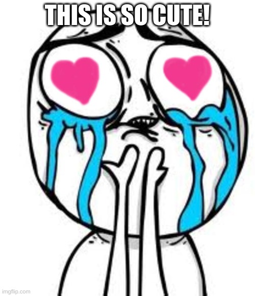 this is so cute | THIS IS SO CUTE! | image tagged in this is so cute | made w/ Imgflip meme maker