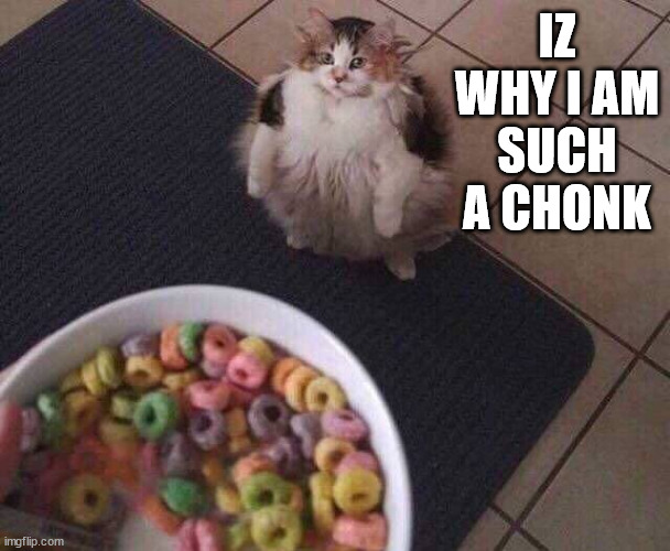 Fruit Loops | IZ WHY I AM SUCH A CHONK | image tagged in fruit loops | made w/ Imgflip meme maker