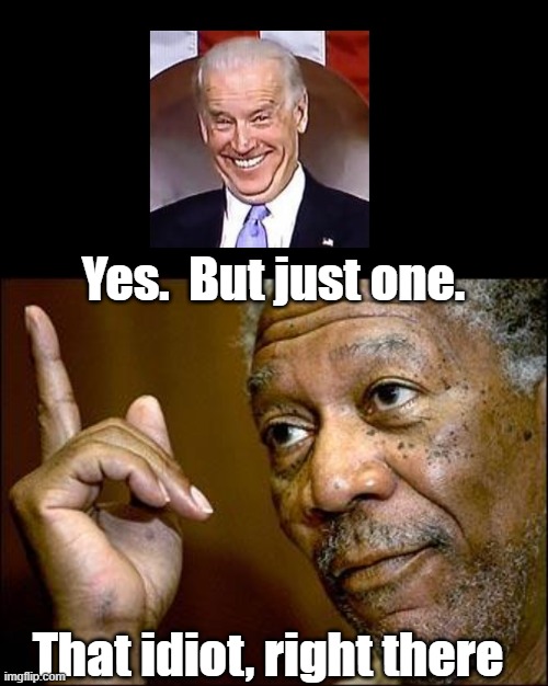 Yes.  But just one. That idiot, right there | image tagged in this morgan freeman | made w/ Imgflip meme maker