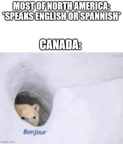 Those canadians | MOST OF NORTH AMERICA: *SPEAKS ENGLISH OR SPANNISH*; CANADA: | image tagged in bonjour | made w/ Imgflip meme maker