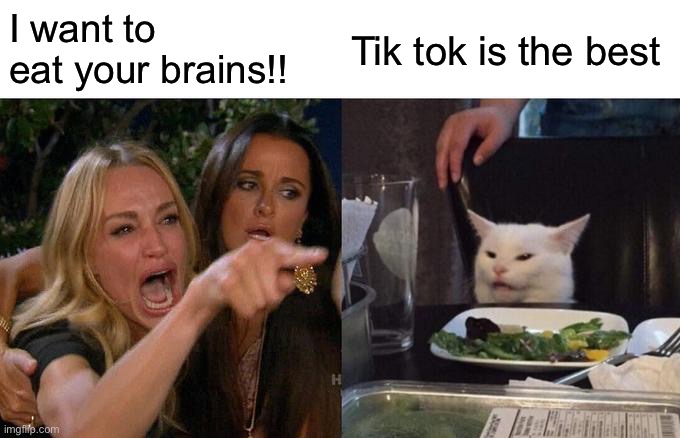 Woman Yelling At Cat Meme | I want to eat your brains!! Tik tok is the best | image tagged in memes,woman yelling at cat | made w/ Imgflip meme maker